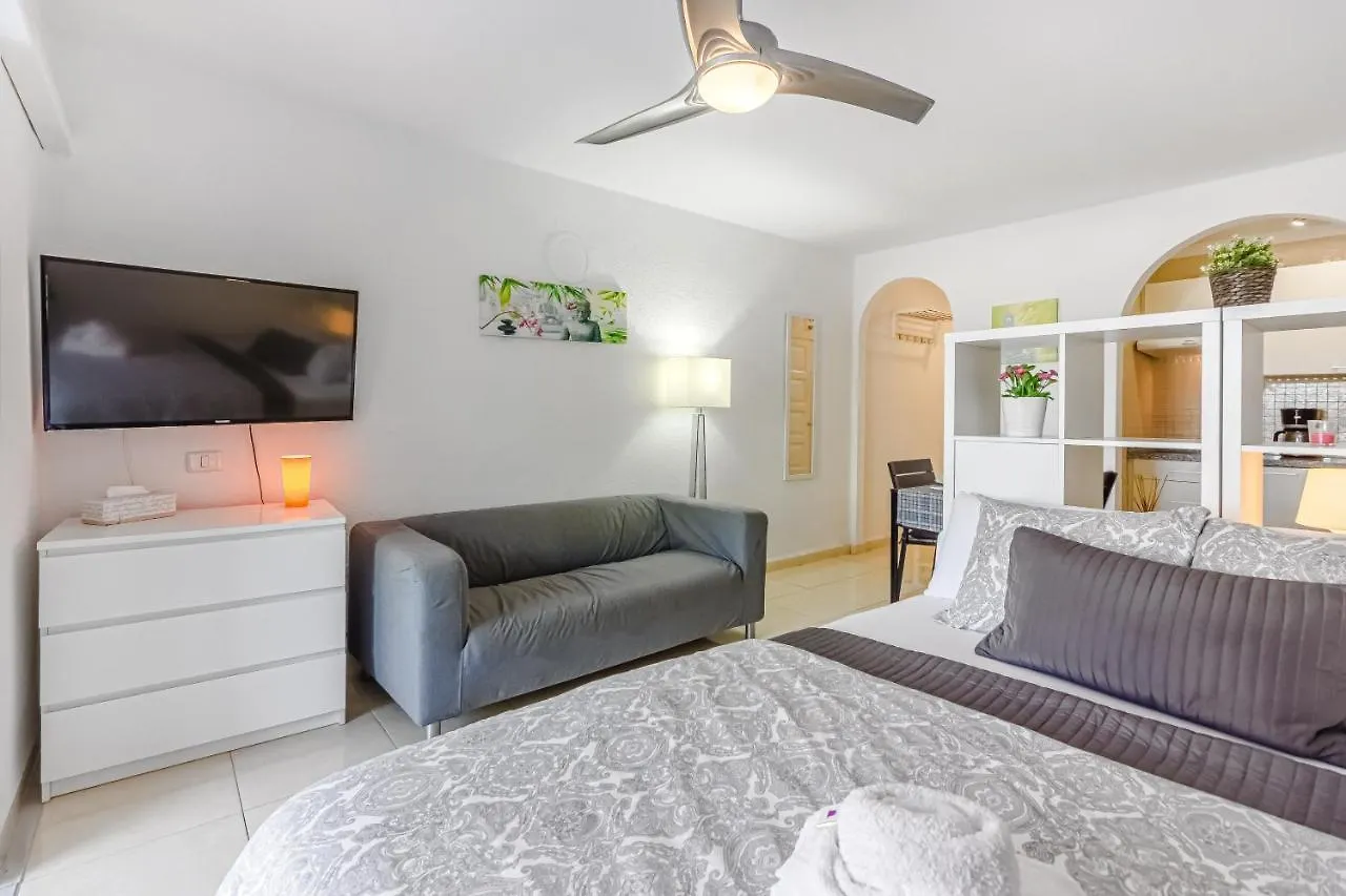 Apartment Fantastic Large Studio In Front Of Beach Heated Pool Wifi Arona  Spanien